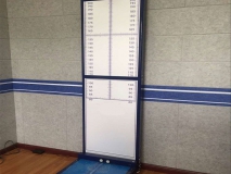 人体信息采集一体机/身高体重测量仪（连接电脑RS232） 型号:ZZ371/HW-800F库号：M391005