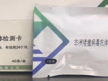 非洲猪瘟病毒 ELISA 抗体检测试剂