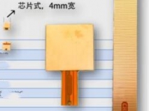 热流传感器/总热流(辐射+对流)传导热流